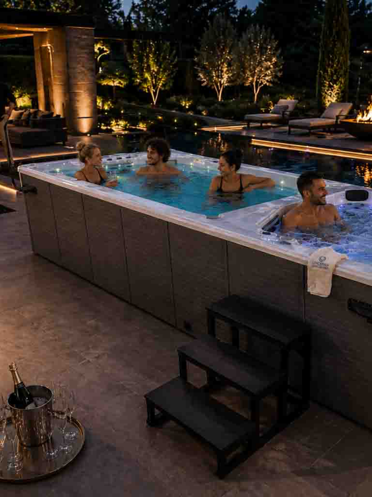 Buy a swim spa